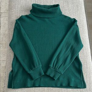 GAP Green Turtleneck Sweater